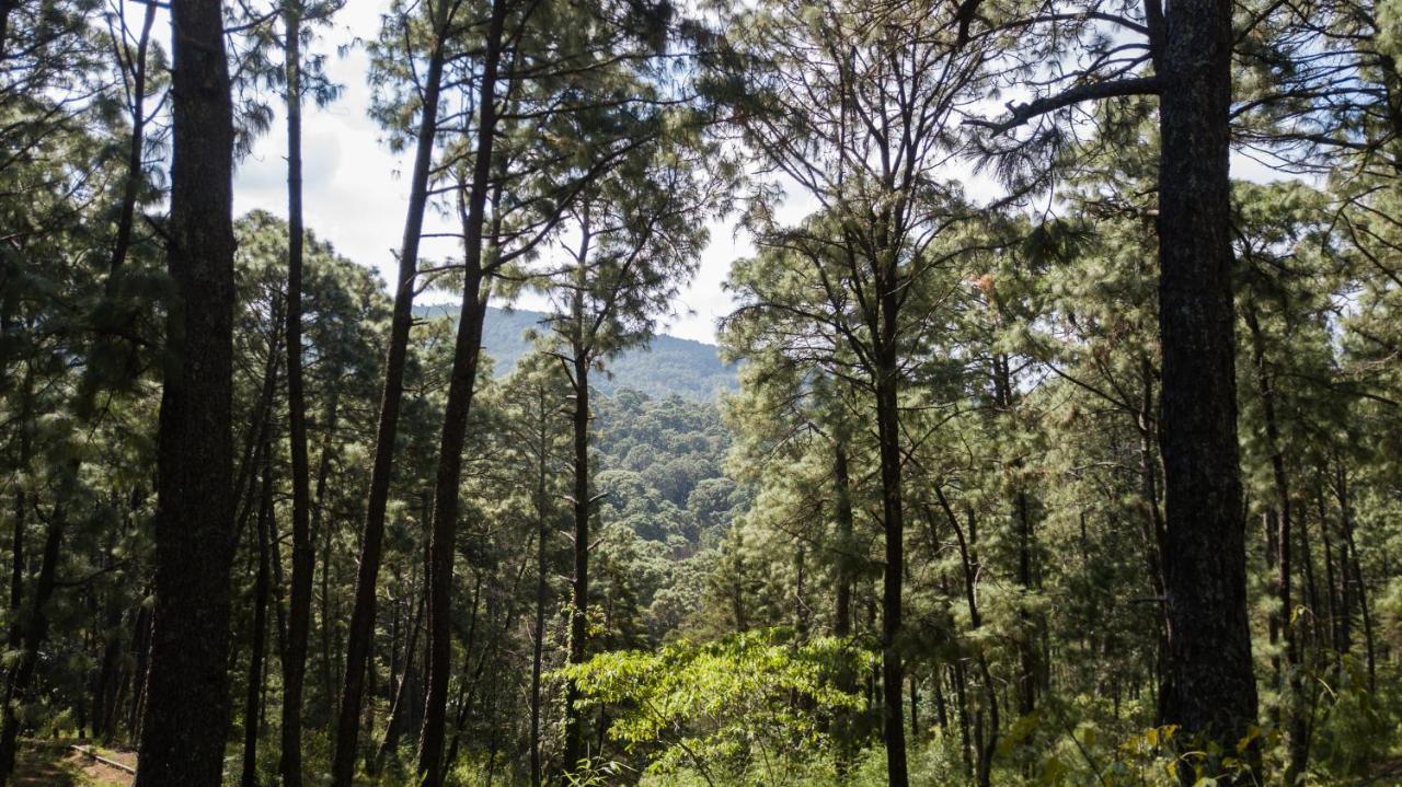 Monteverde Масамитла Екстериор снимка