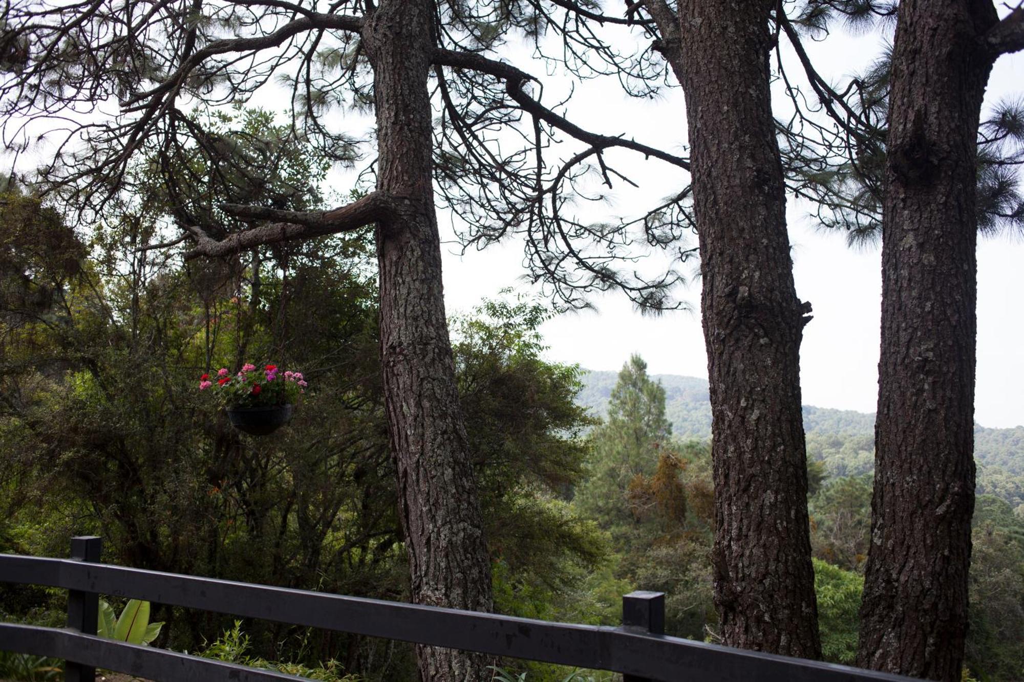 Monteverde Масамитла Екстериор снимка