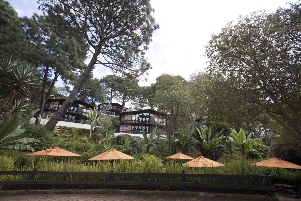 Monteverde Масамитла Екстериор снимка